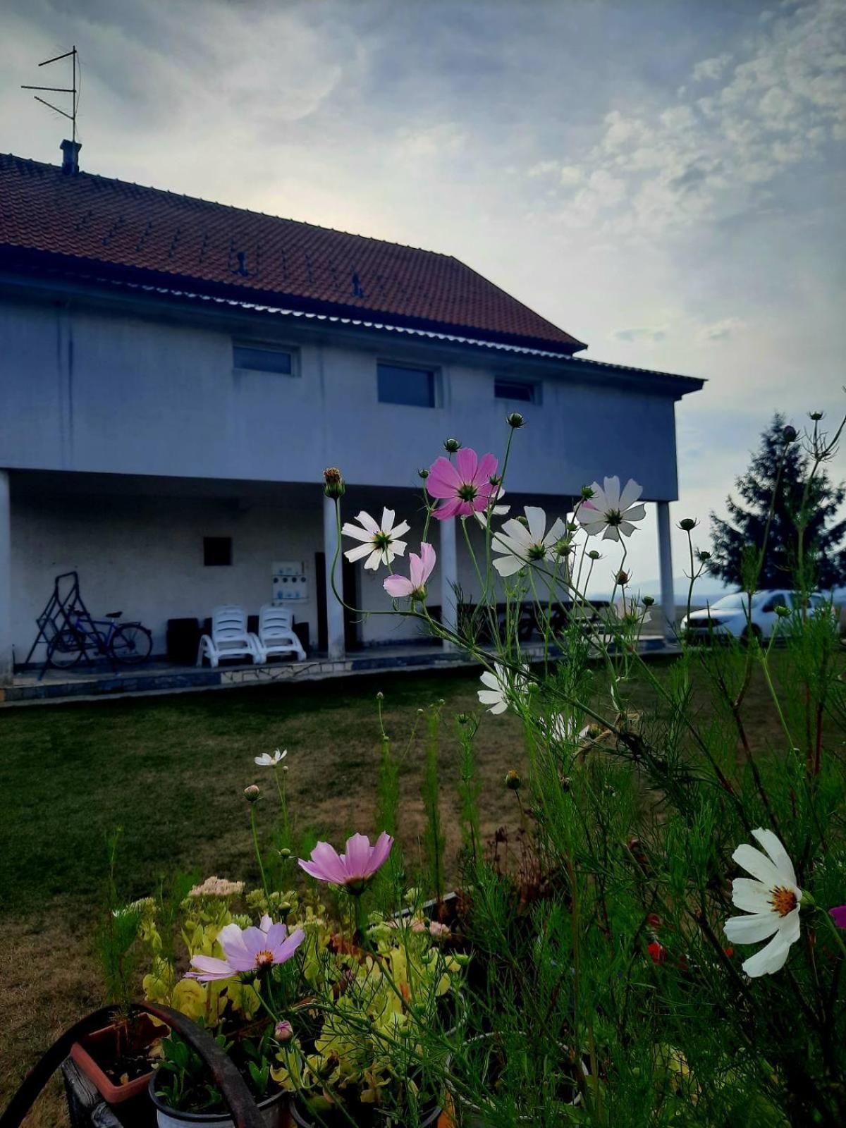 Apartments Zlatiborski Visovi Εξωτερικό φωτογραφία