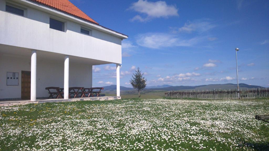 Apartments Zlatiborski Visovi Εξωτερικό φωτογραφία